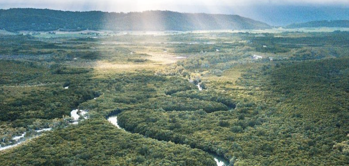 top 3 rainforests in the world 