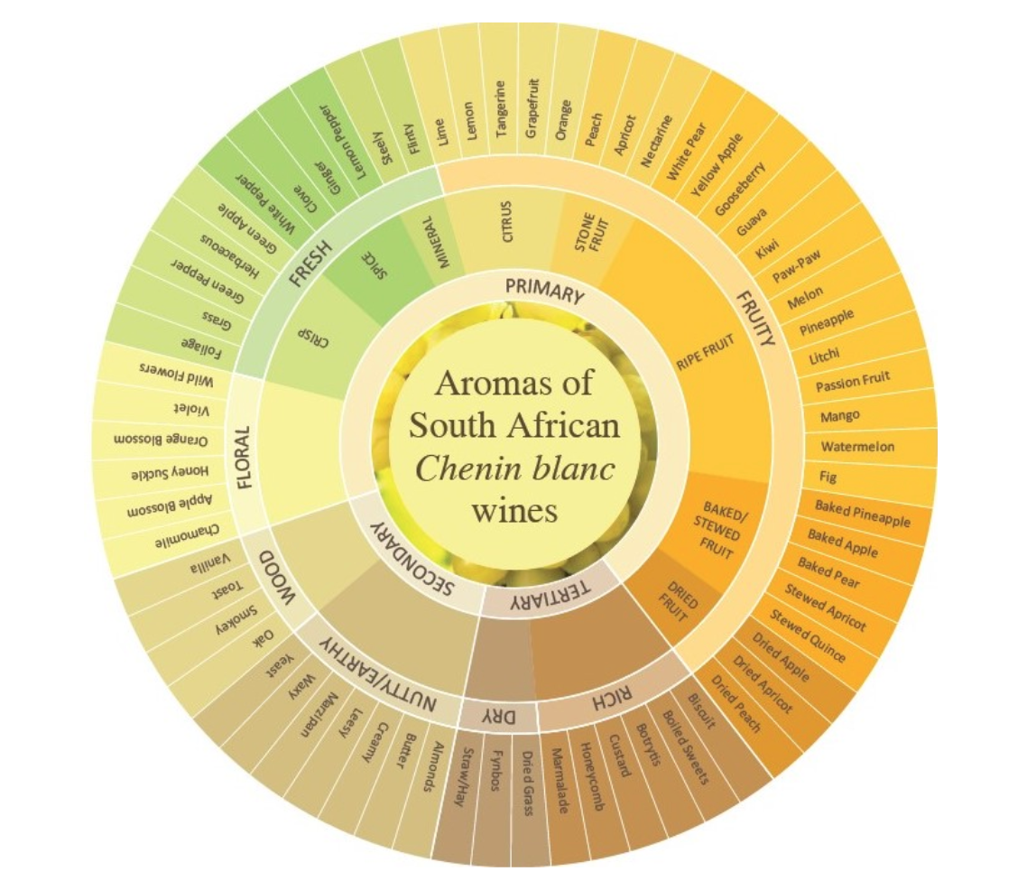 5 reasons to love South African wine