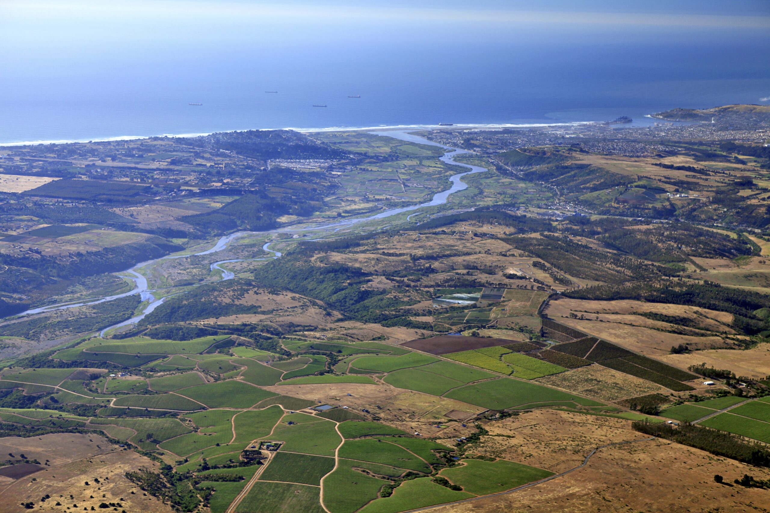 A journey of refreshing flavours: Chile's cool coastal wines from Leyda 