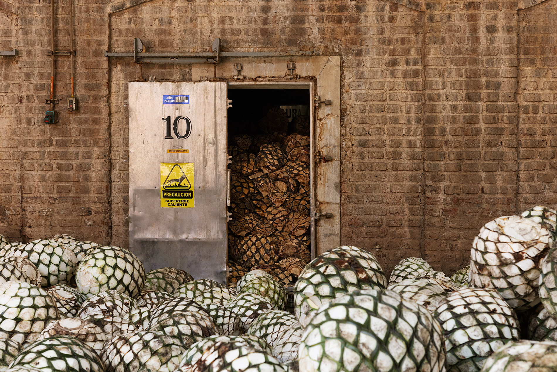 Patron Process of making tequila in Jalisco Mexico Hacienda Patrón.