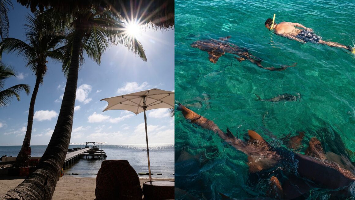 Seaside to Deep Sea: Something for everyone in Belize tourism excursions Steven Branco