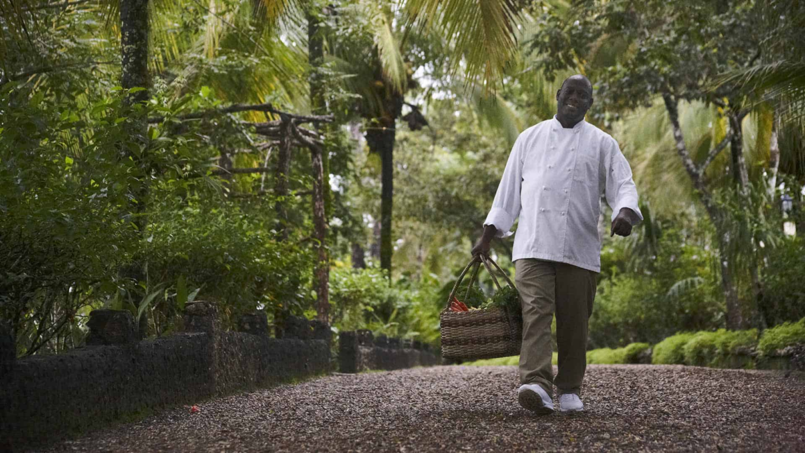 
Farm to table organic garden. (Photo:L Courtesy) at GAIA Riverlodge resort in Belize jungle destination tourism from Canada. 